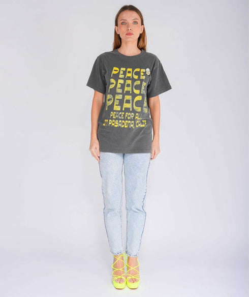 NEWTON TRUCKER PASADENA