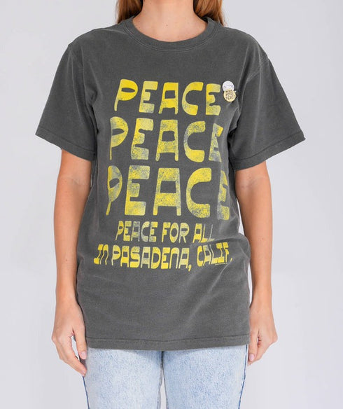 NEWTON TRUCKER PASADENA