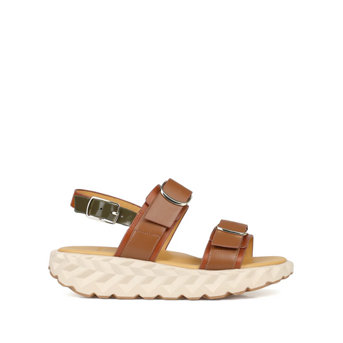 4CCCCEES JABARA SANDY