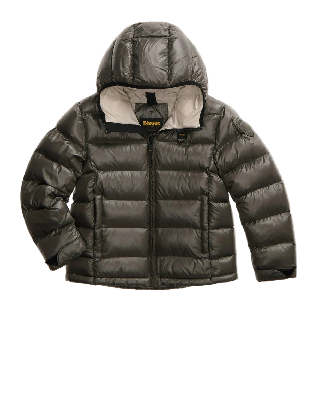 BLAUER ANSEL