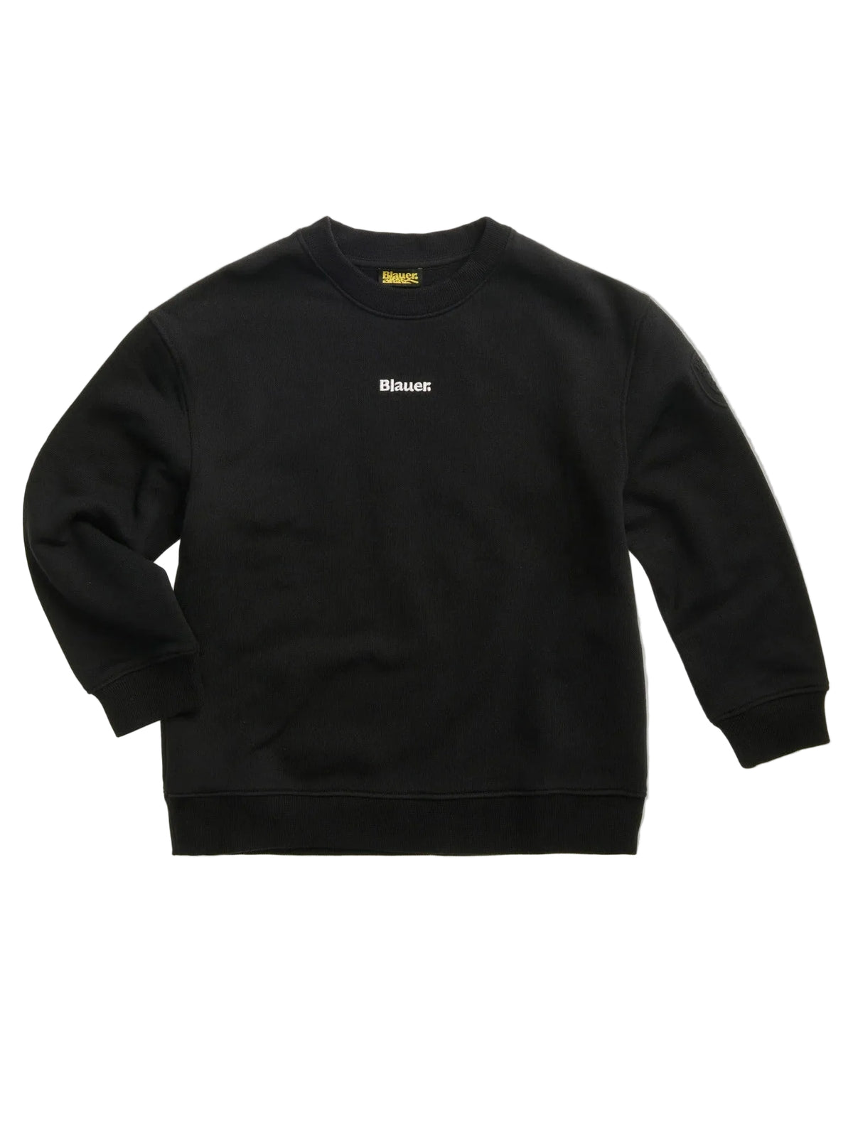 BLAUER RIDLON