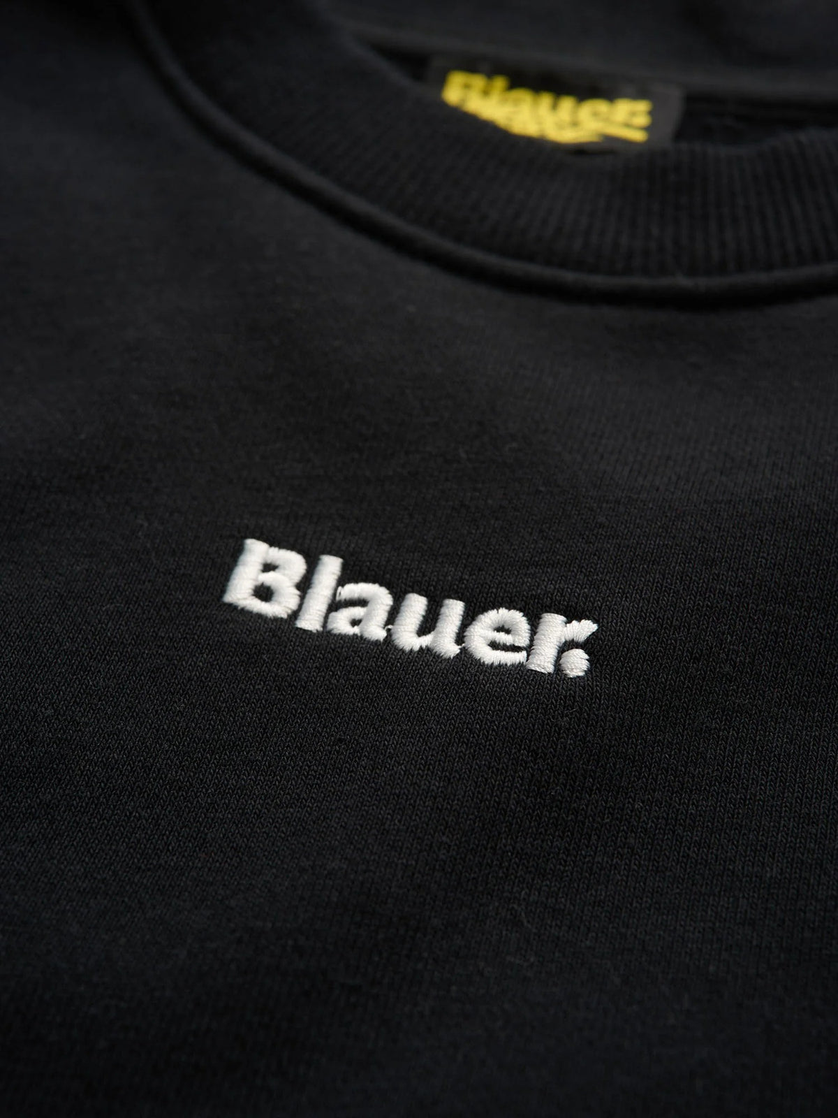 BLAUER RIDLON