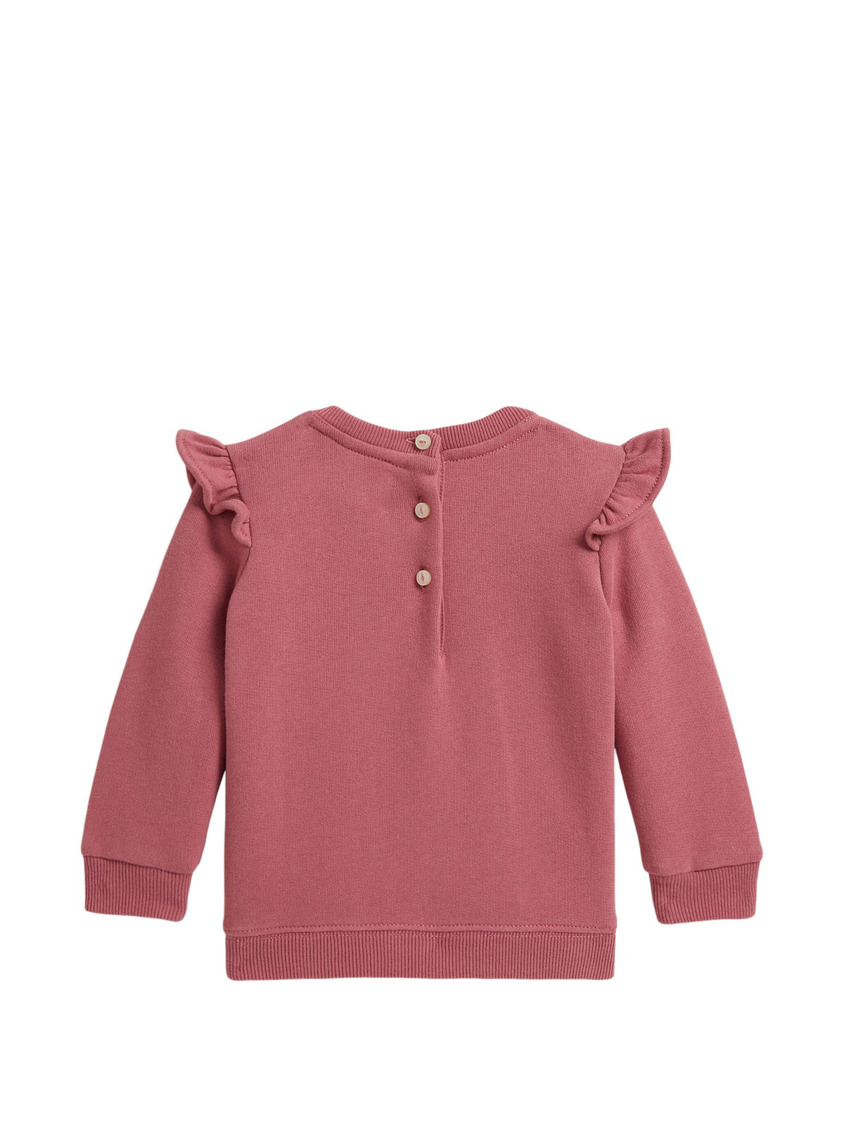 POLO RALPH LAUREN BEAR SWEAT
