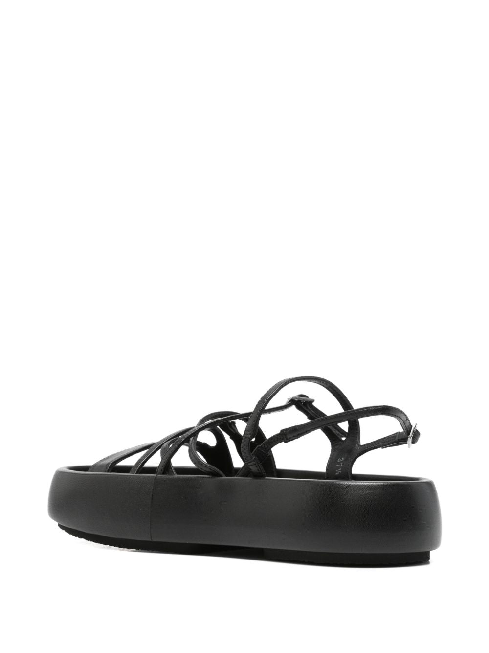 AGL BULLE MULTISTRAPS