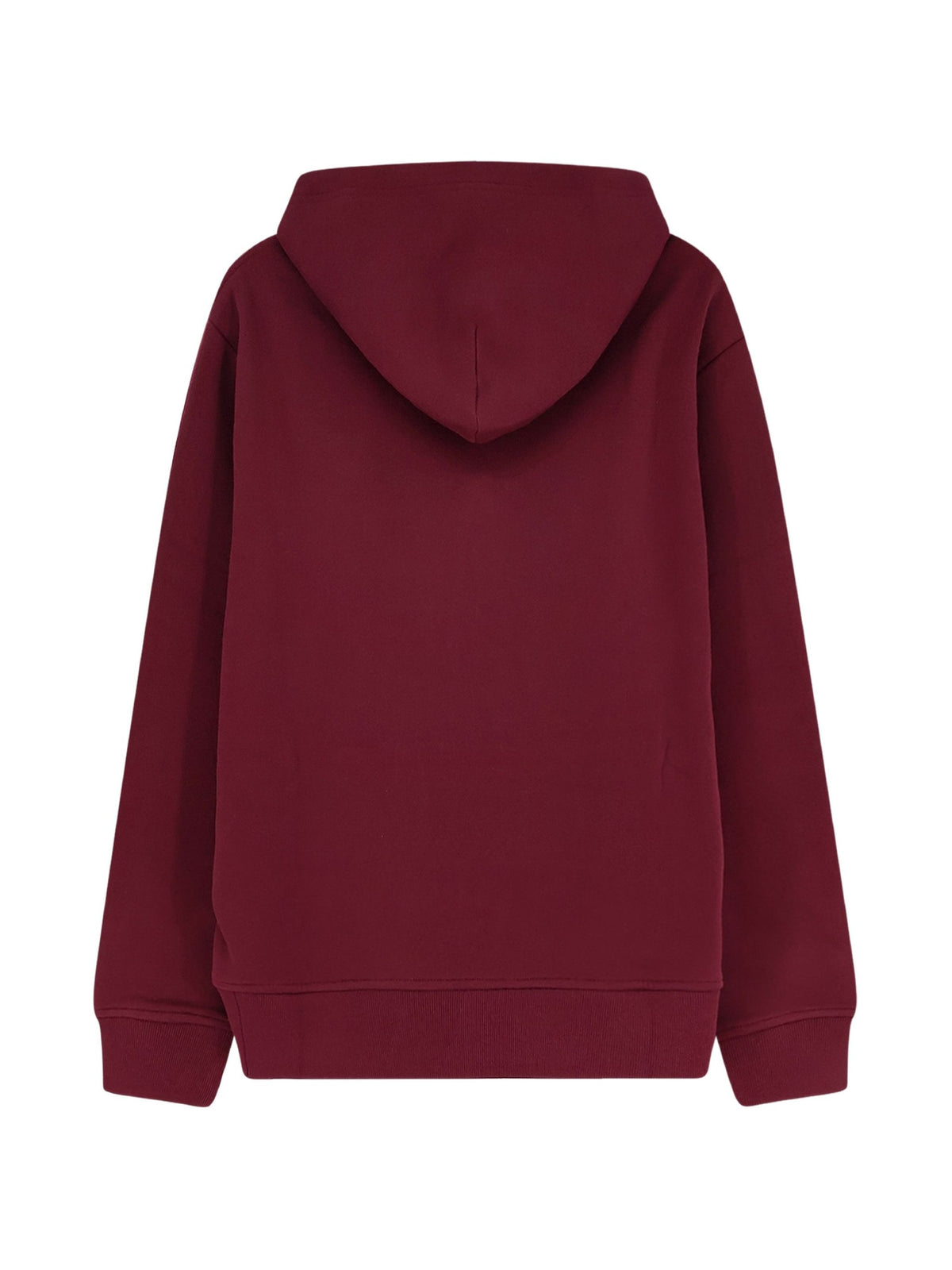 POLO RALPH LAUREN GRAPHIC HOODIE