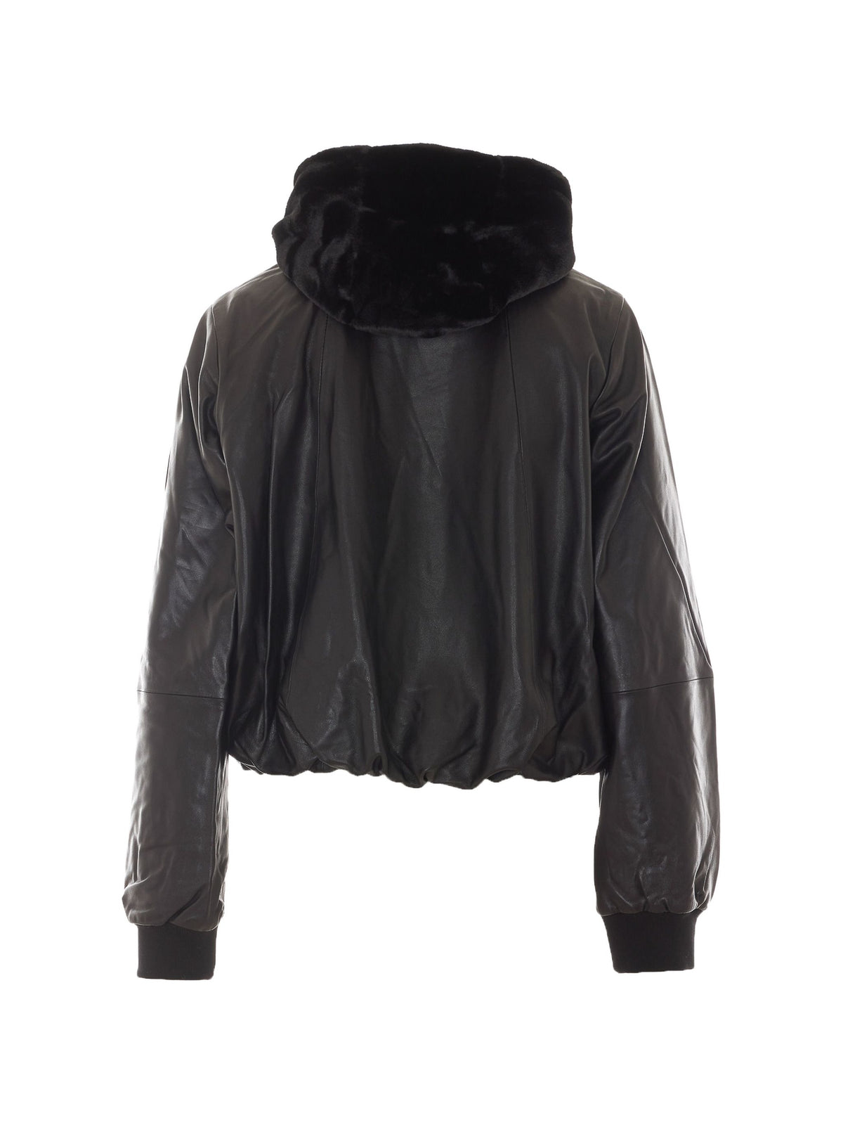 MOOSE KNUCKLES CARDINI BOMBER