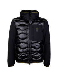 BLAUER ALBERT