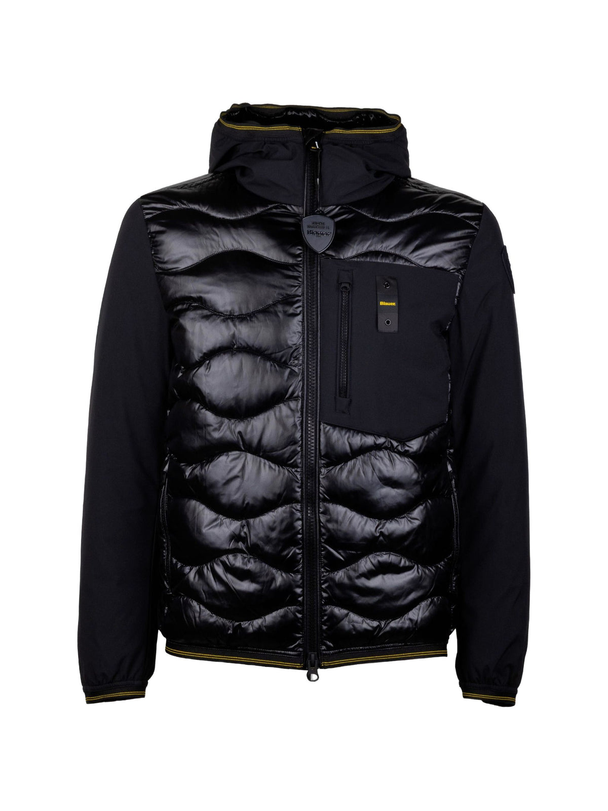 BLAUER ALBERT