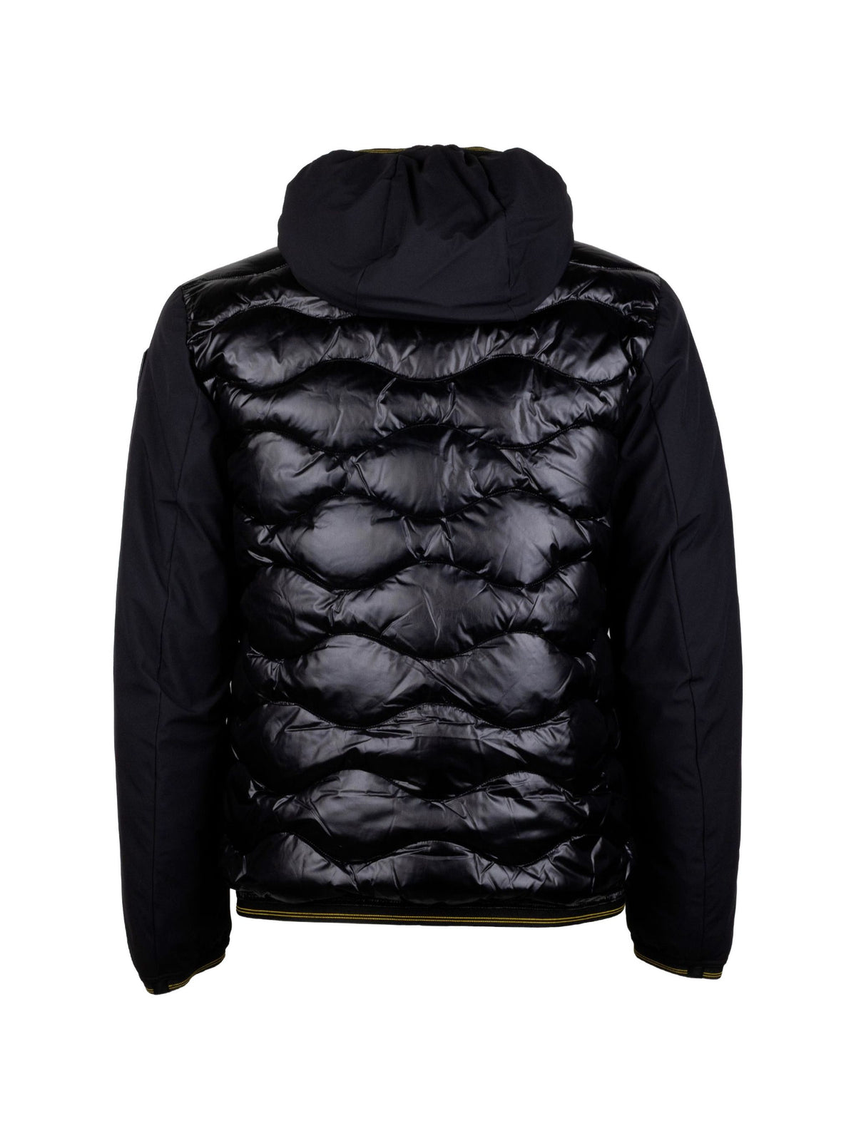 BLAUER ALBERT