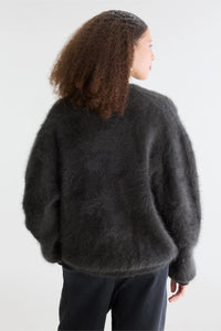BELLEROSE DATURA