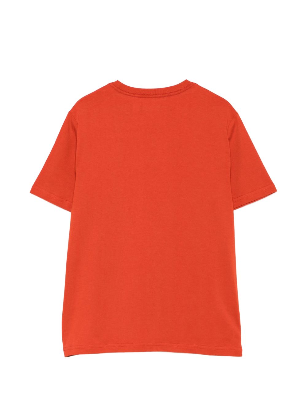 POLO RALPH LAUREN T-AHIRT