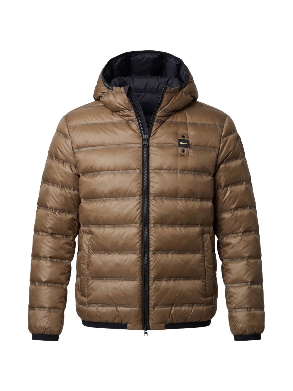BLAUER DONALD