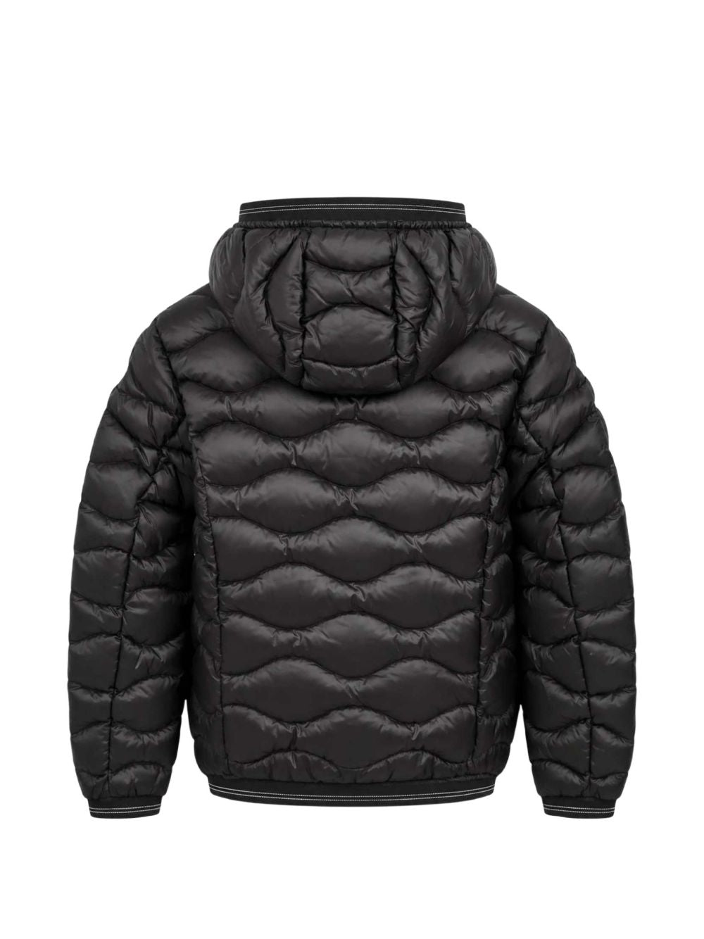 BLAUER LOWEL