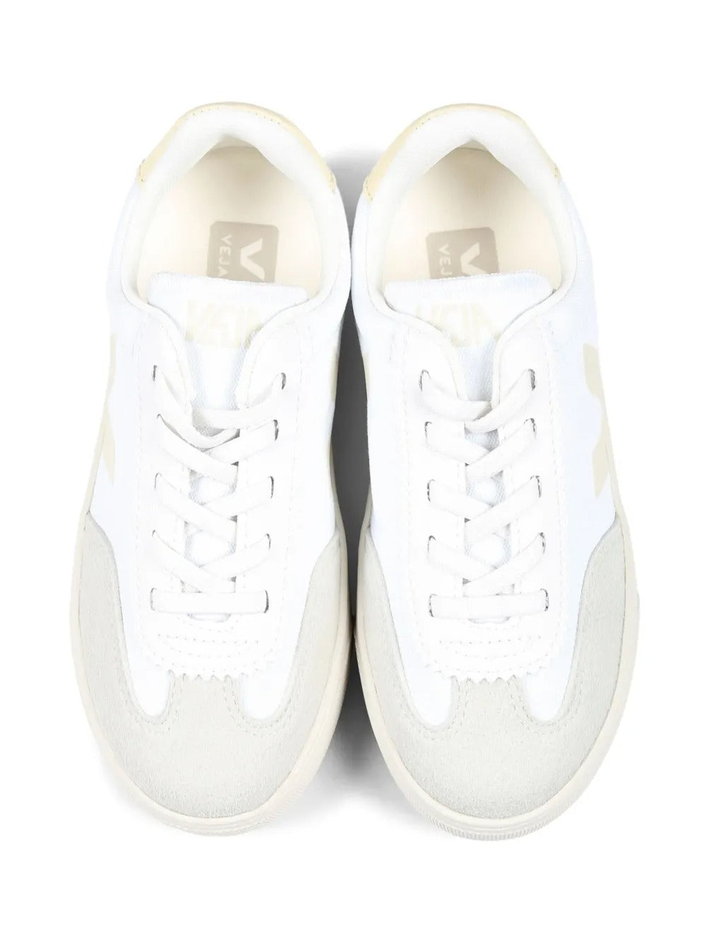 VEJA VOLLEY CANVAS